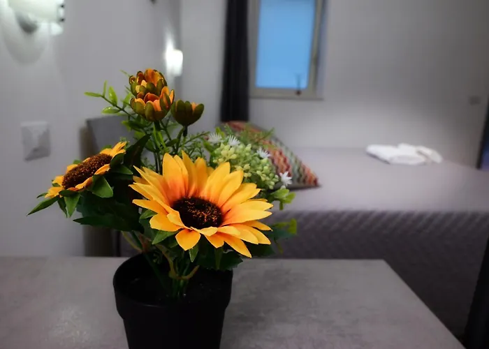 B&B Revolution Bed E Breakfast Caserta